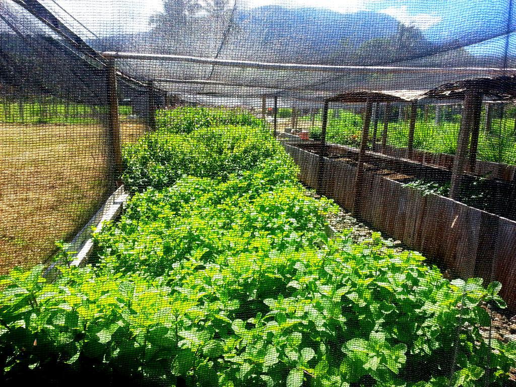 ממבג'או Guerrera Rice Paddy Villas מראה חיצוני תמונה